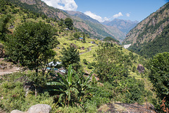 Terraced Village