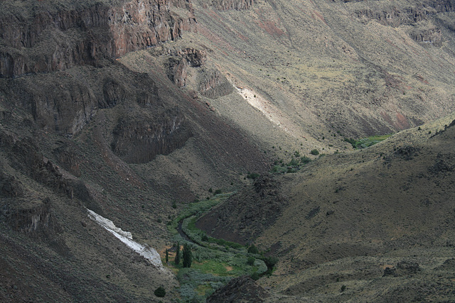 Bruneau Canyon and River