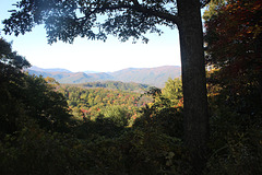 My view, through the shadows !  Smokey Mountains,  around Gatlinburg - Pigeon Forge, Tennessee    ~~ USA