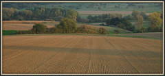 Herbstacker / autumn field