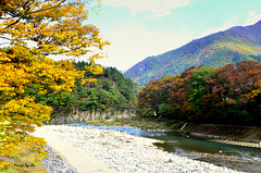 Otoño en torno al río Shogawa