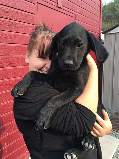 Huggable