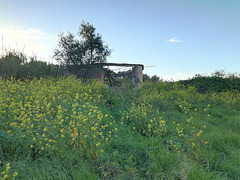 By nightfall an hygienic walk through Benfica Farm