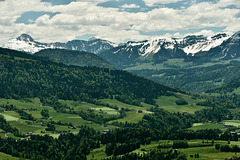 Blick von Sulzberg in Vorarlberg