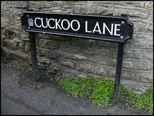 Cuckoo Lane street sign