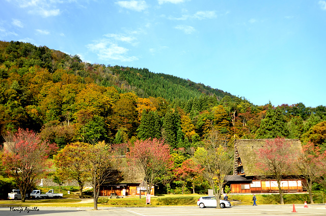 Shirakagawo  (白川郷)