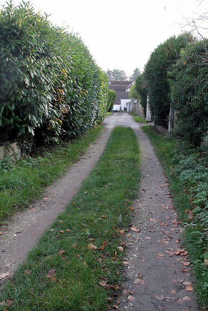 Sentier de la Gerbette - 6140