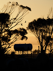 De Hoop-Abendstimmung auf der Farm