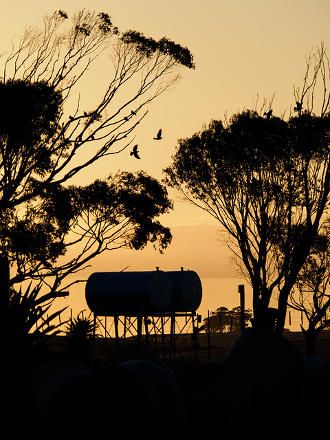 De Hoop-Abendstimmung auf der Farm