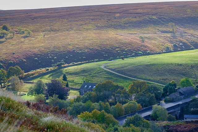 Dunford Bridge