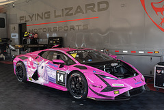 Flying Lizard Motorsports