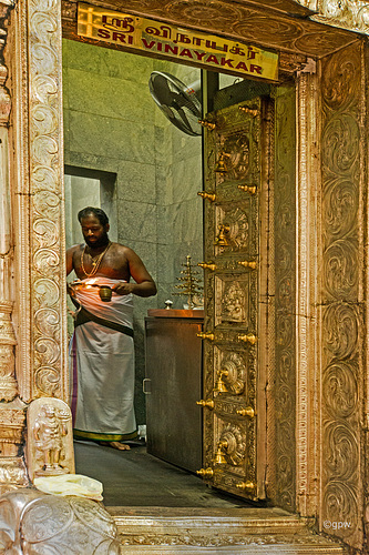 Preparation of the Fire