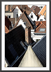 Les toits de Bruxelles XIII