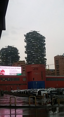 Il giardino verticale a Milano.