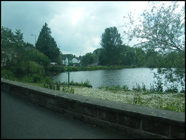 Madeley Pool