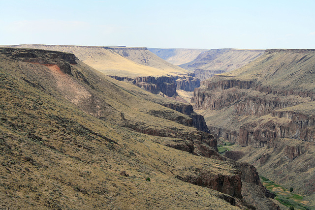 Bruneau Canyon