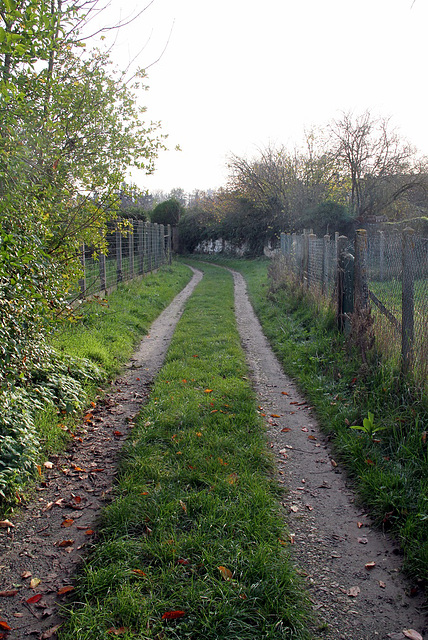 Sentier de la Gerbette - 6139