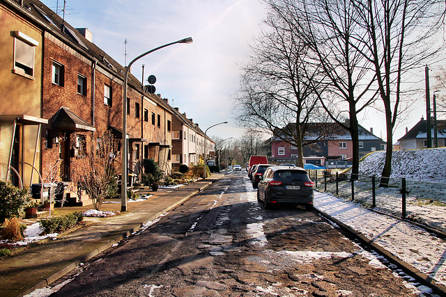 Schlehenweg (Duisburg-Hüttenheim) / 20.01.2024