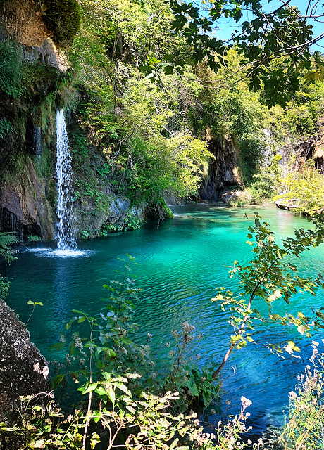 Galovački buk Galovački buk