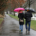 Walking in the rain