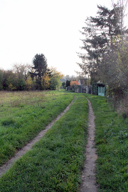 Sentier de la Gerbette - 6138