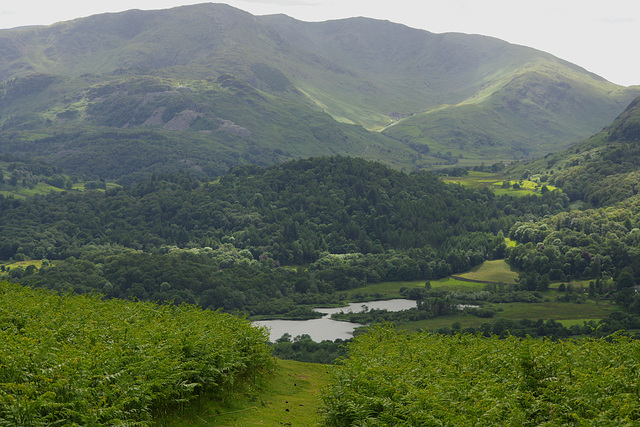 Wetherlam and Elter Water