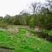 Holbeche Brook near the Clay Pit