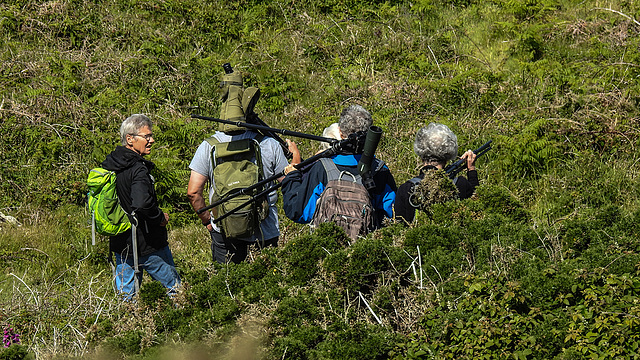 20190609 4870CPw [R~GB] Ornithologische Gruppe, Deer Park, Pembrokeshire, Wales