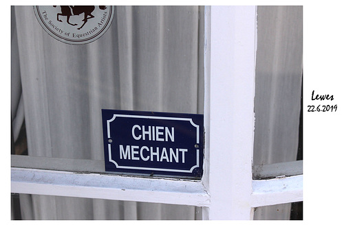 Chien Mechant Lewes 22 6 2019