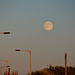 Evening moon over Haughton