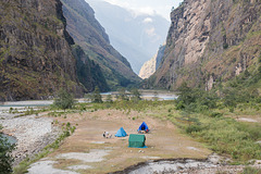 Camp With a View