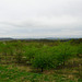 View from the high ground east of Himley Wood