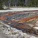 Geyser Runoff