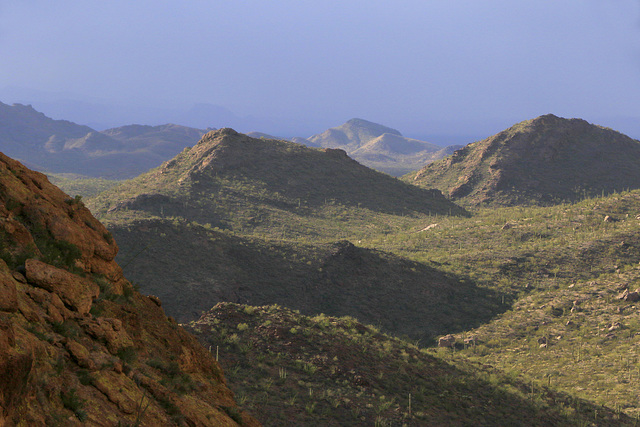 Ajo Mountains, Arizona