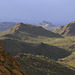 Ajo Mountains, Arizona