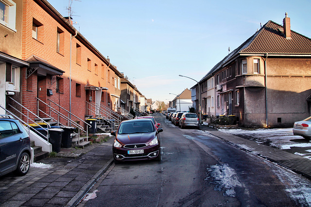 Im Höschegrund (Siedlung Hüttenheim, Duisburg) / 20.01.2024