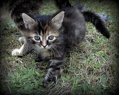 Souvenirs, tendresse fondante