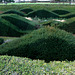 Thames Barrier Park