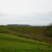 View from the high ground east of Himley Wood