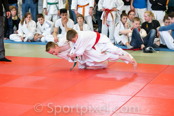 oster-judo-1211 17159720421 o