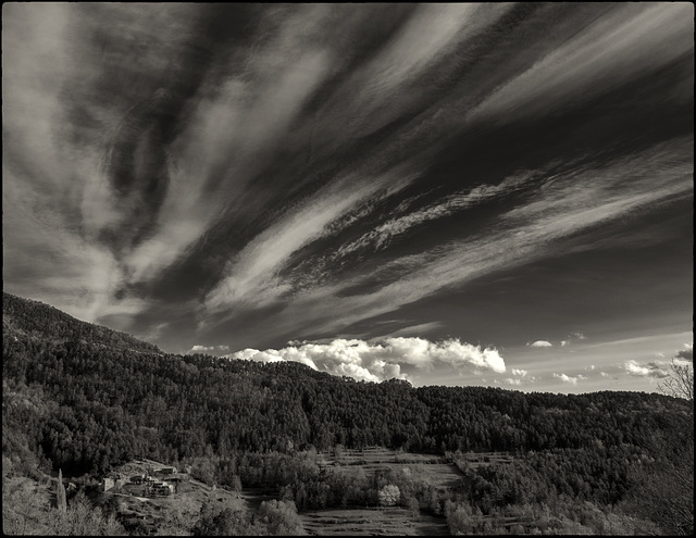 Bufa el vent de primavera