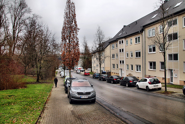 Kraspothstraße (Essen-Schonnebeck) / 21.01.2023