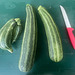Zucchini