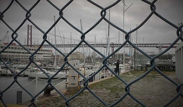 The Alcântara Dock seems like a chicken coop