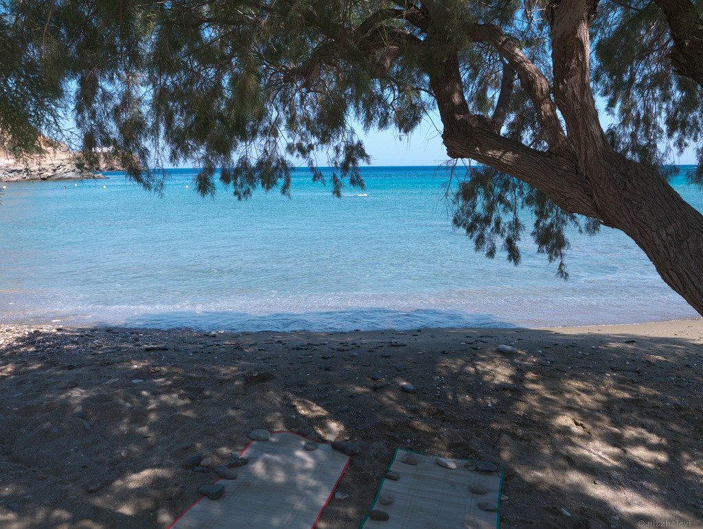 swimmer casuarina and the straw mats