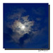 Mme la Lune ...