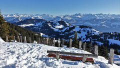 Aussicht auf der Rigi (die Königin der Berge), Feb. 2022