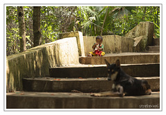 Toddler and dog on the stairs to PakOu Ting Cave