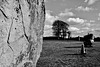 A Flock of Birds Over a Neolithic Stone Circle