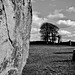 A Flock of Birds Over a Neolithic Stone Circle